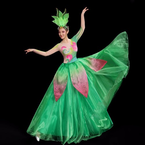 Women girls pink green petals flamenco dance dress spanish bull dance swing skirts opening dance ballroom dress folk dance costumes